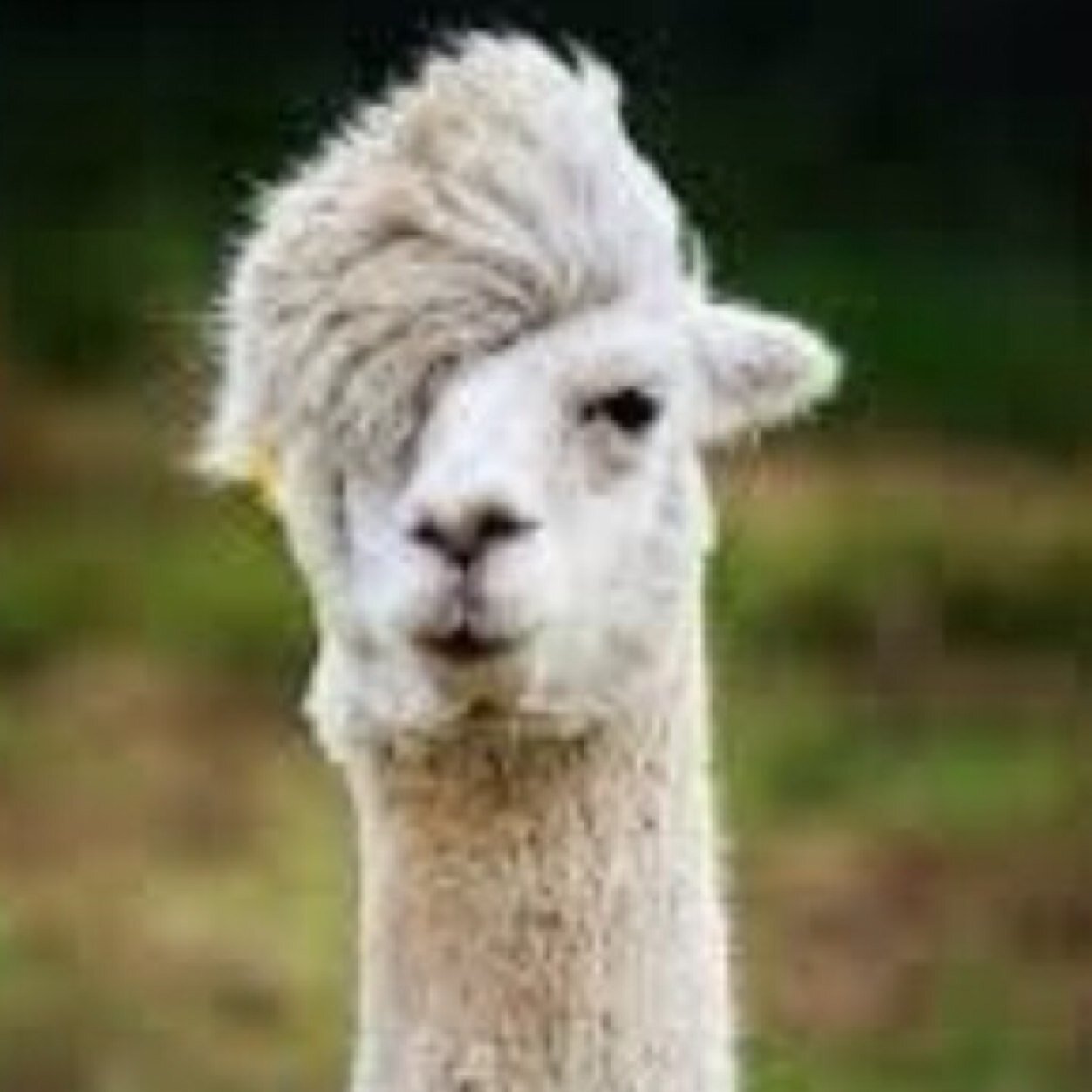My name is kevin, im a father, i love bands, music, well follow me i follow back! If anyone ever needs to talk send me a DM!