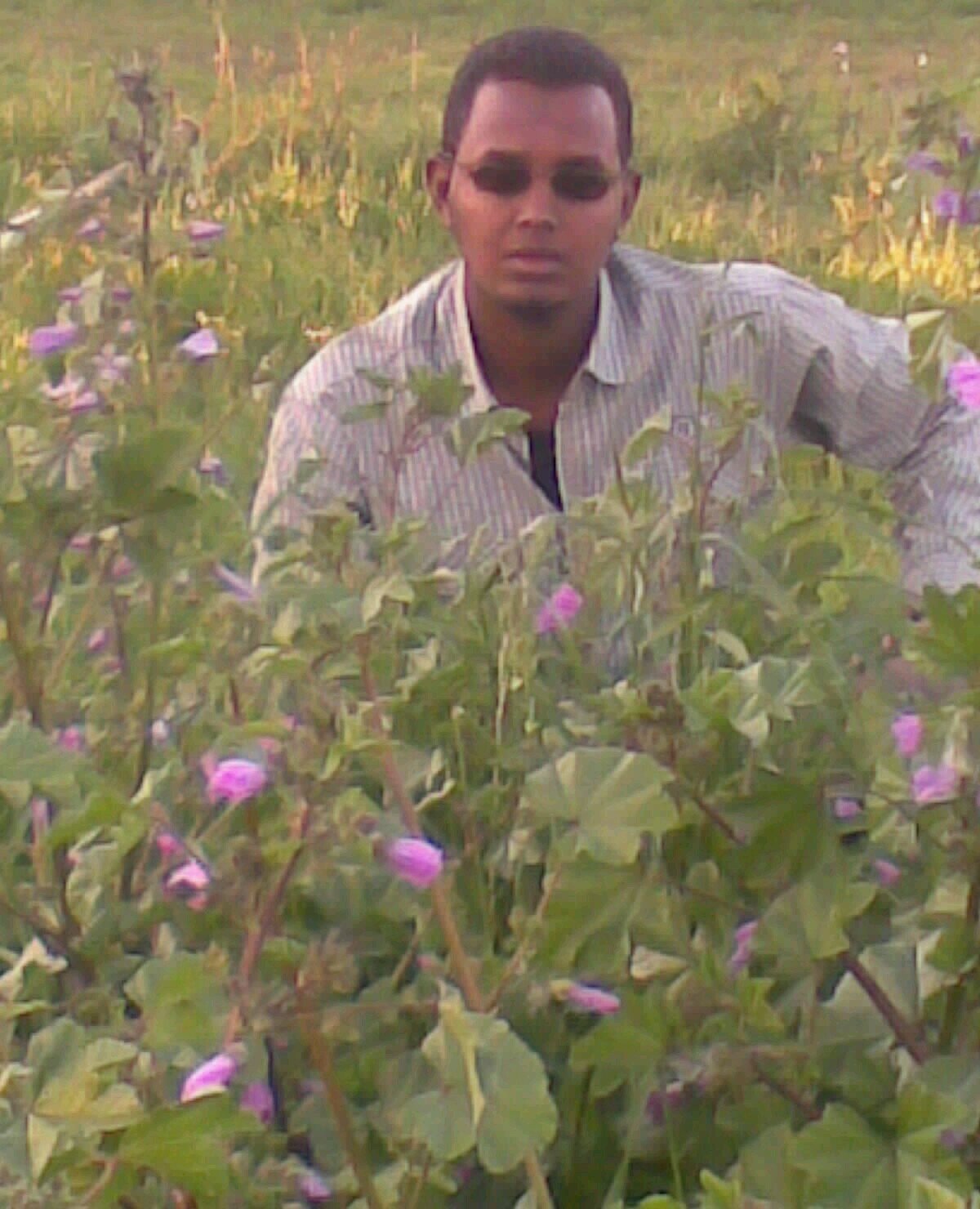 yaxyecy's profile picture. 