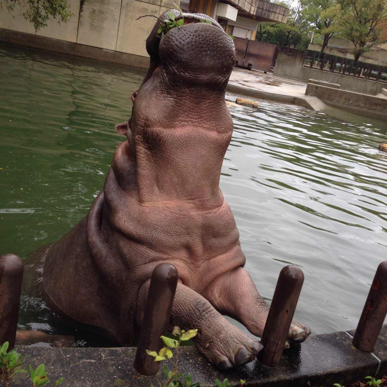 051204080504's profile picture. 