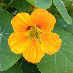 chica_twopatch's profile picture. Astronomie -  Kunst - Patchwork - Textilkunst - Philosophie - Reisen