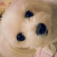 1814you (@1814you) 's Twitter Profile Photo
