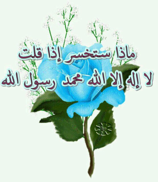 Alaz7Boalaz's profile picture. 