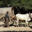 Patrick Chappatte - @paerch - Twitter