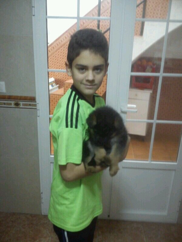 Aficionado al Real Madrid y extremeño.
