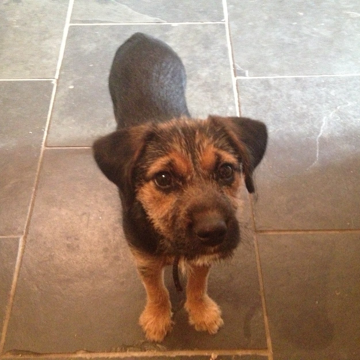 LeReblous's profile picture. 