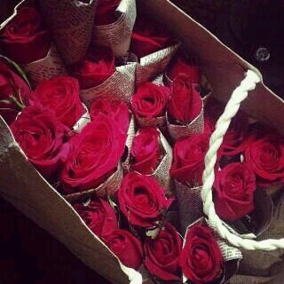 nooonooo2016's profile picture. ‏فتاه ذات التسعه عشر ربيعاآ ♡♥