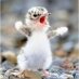毎日ばたばたしてるけど、それはそれで幸せな日々。時々ブツブツつぶやきながらかあちゃんがんばります 好きな事 子供 絵本 歌 俳句 詩 絵 まどさん かこさん ちひろさん 茨木のり子さん 川崎洋さん 吉野弘さん あと笑える事。気になった事などのメモがわりに使うことも多くニュース切り抜き、いいねが多め　あとOKKAKEです