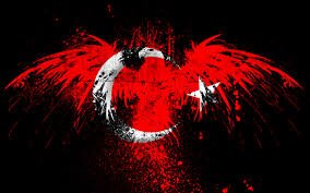 keladam13's profile picture. türk milliyetçi adam