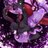 vocaloid_yuzuki's profile image