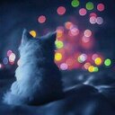 Nadia Hamza - @nadiahamza81 - Twitter