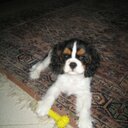 Frédérick Dey - @deyfred06 - Twitter