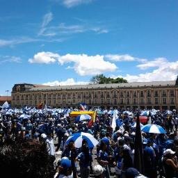 BogotaEmbajador's profile picture. 