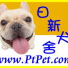 olivinea1's profile picture. 寵物 狗 pet dog