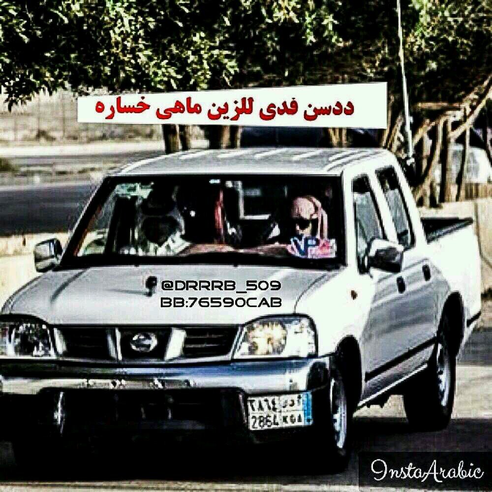 ‏اذا لحقني في رفيقي عذاريب دورت له عذر سمين وعذرته واذا تمادى بالخطا وكرر العيب صديت قي صمت الحشيمه وتركته