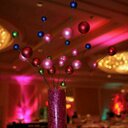 Traci Payne - @TraciMeplz - Twitter