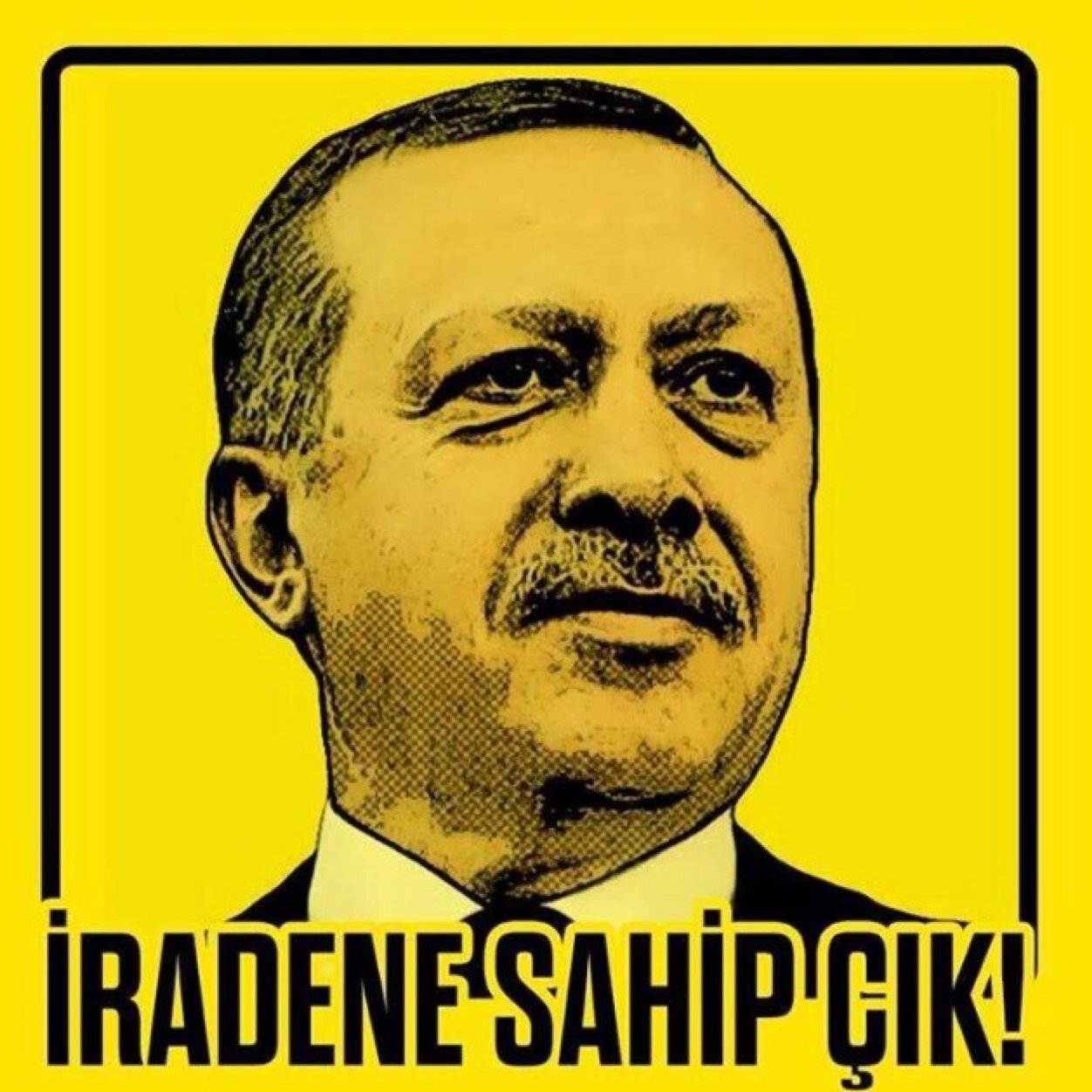 Selinpinarbasi's profile picture. 