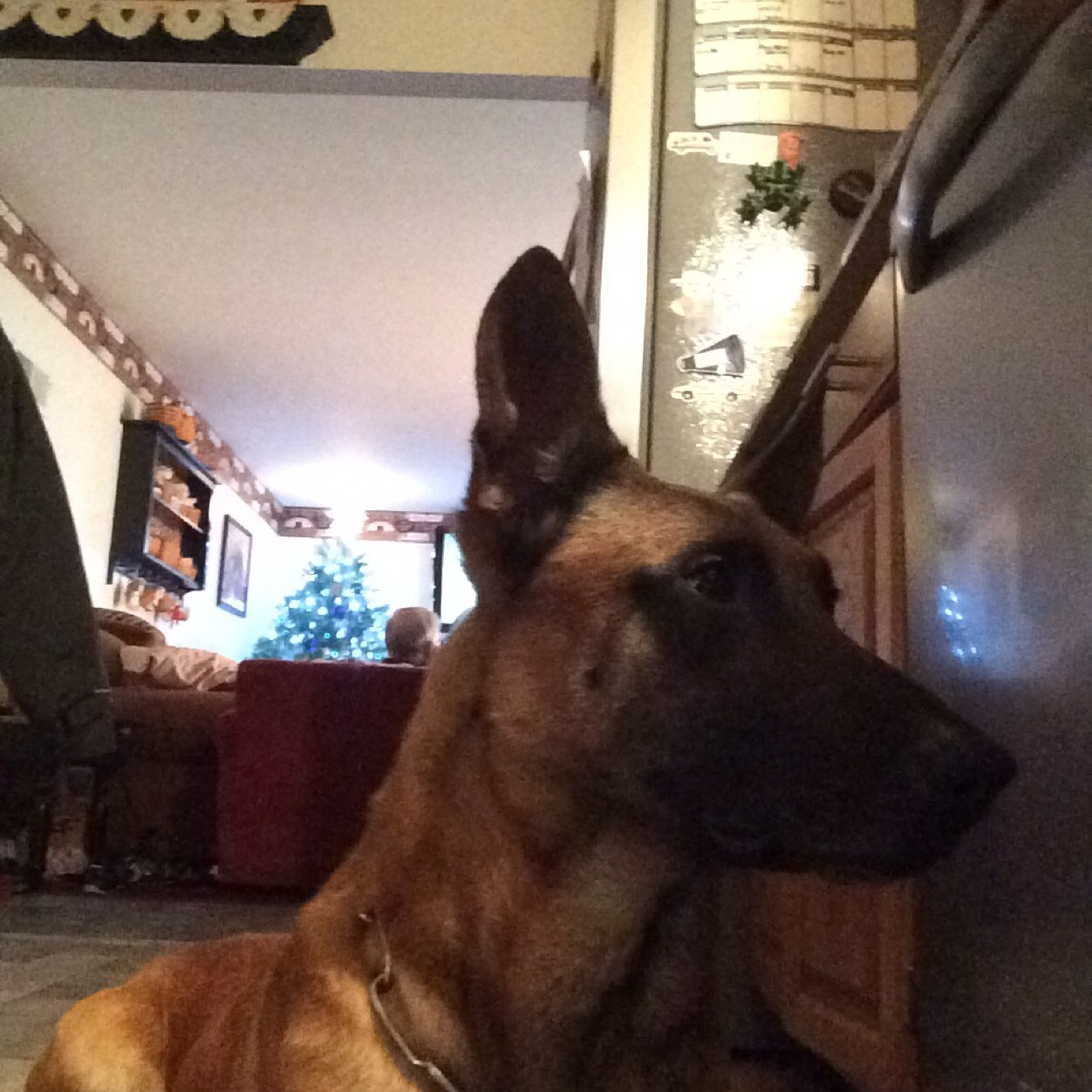 LindaTrace's profile picture. 