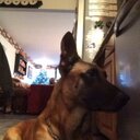 Linda Trace - @LindaTrace - Twitter