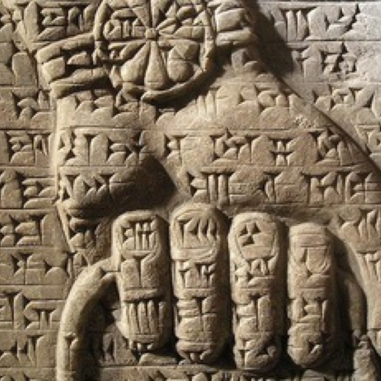 softimage2's profile picture. 