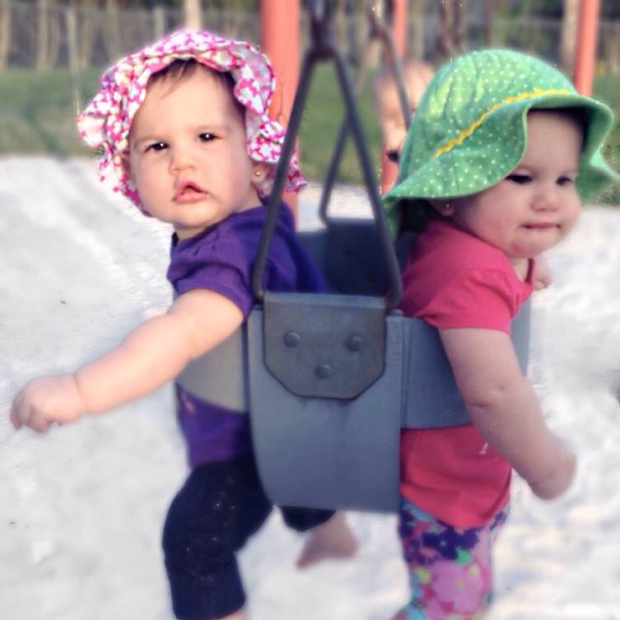 cfr024's profile picture. Dogs barking can't fly without an umbrella!!!