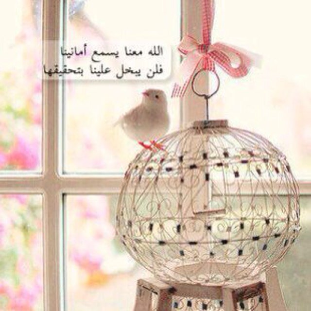 اللـٓهـمً اجــعل هـــذا الــْحـــســابــ شـــاهــداً عـــلـــي ويـــاربــ وڤـــقـــنــــاً اجــمــعـــيـــنً