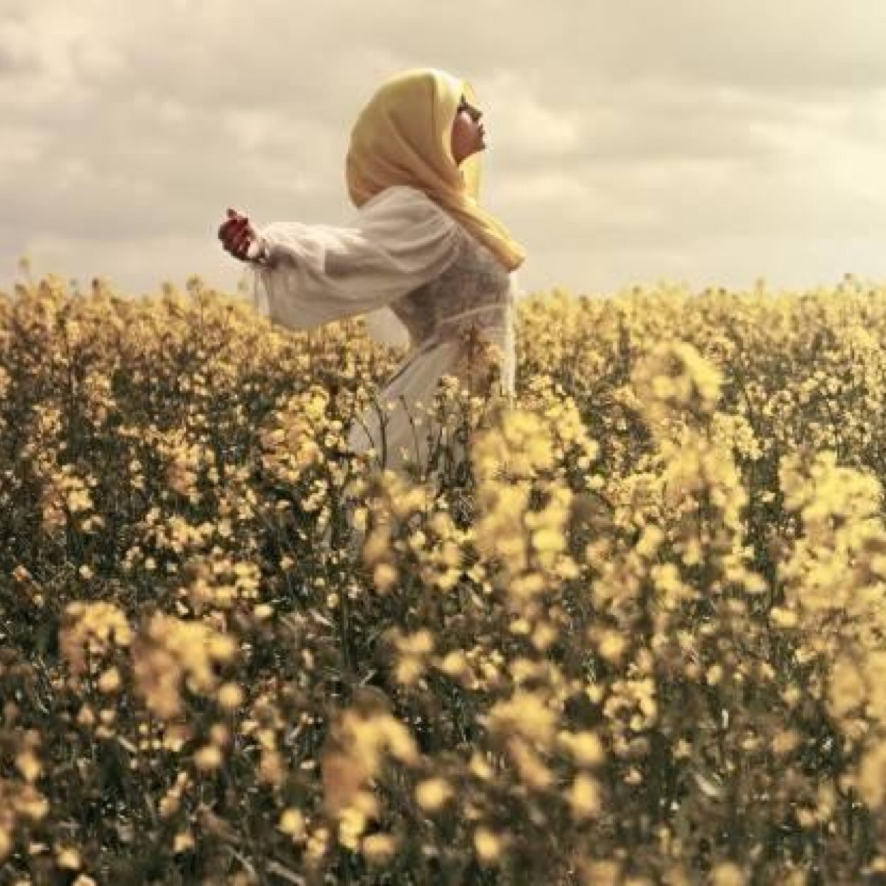 m_uninterrupted's profile picture. :)