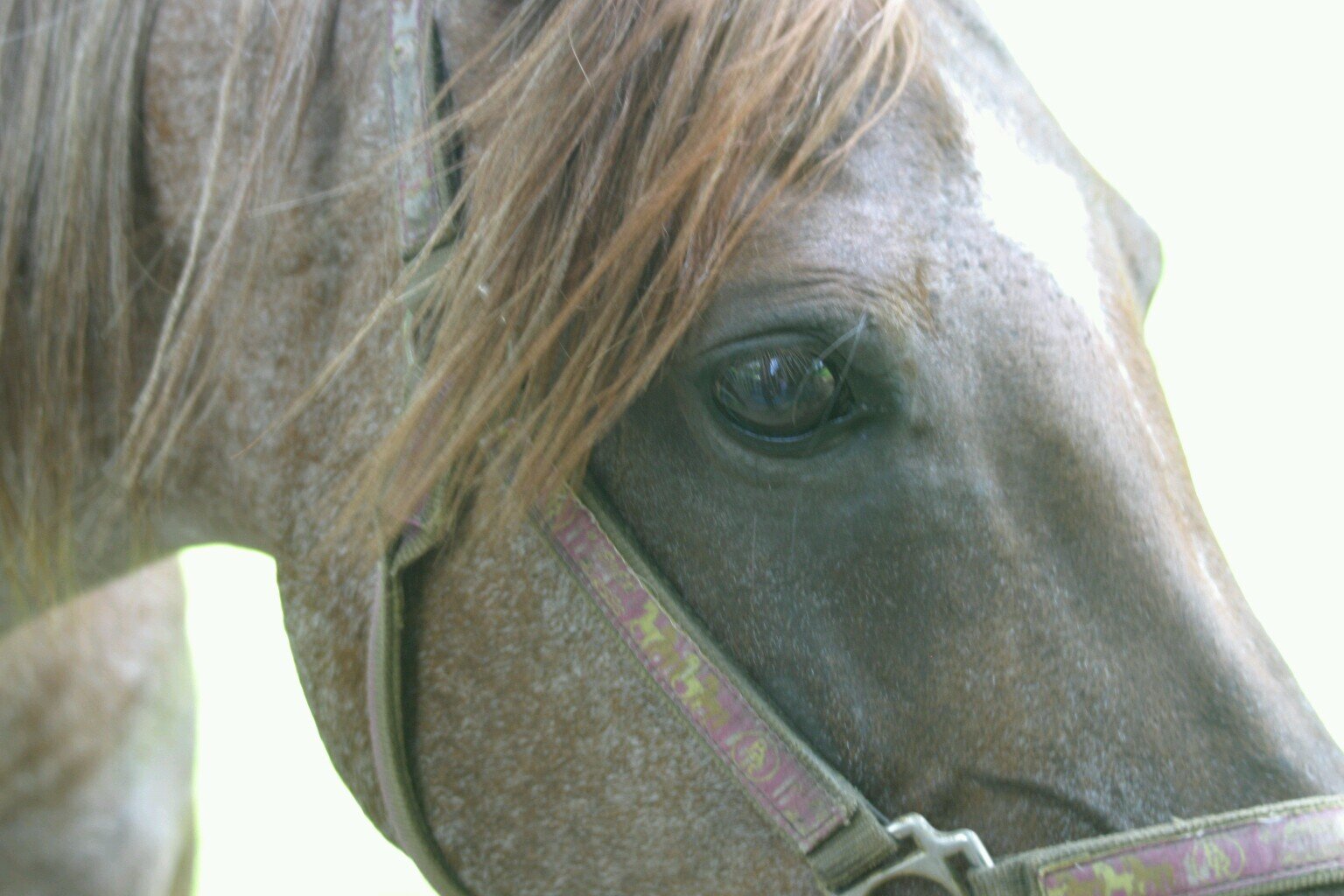Love my friends and pets♡♡♡