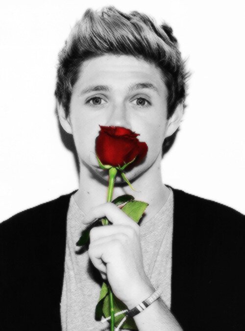 Wattpad » @/GucciDirection
Tumblr » harolds-faucci || follow me xx