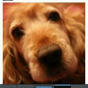 Marisol Mayo - @__soli - Twitter