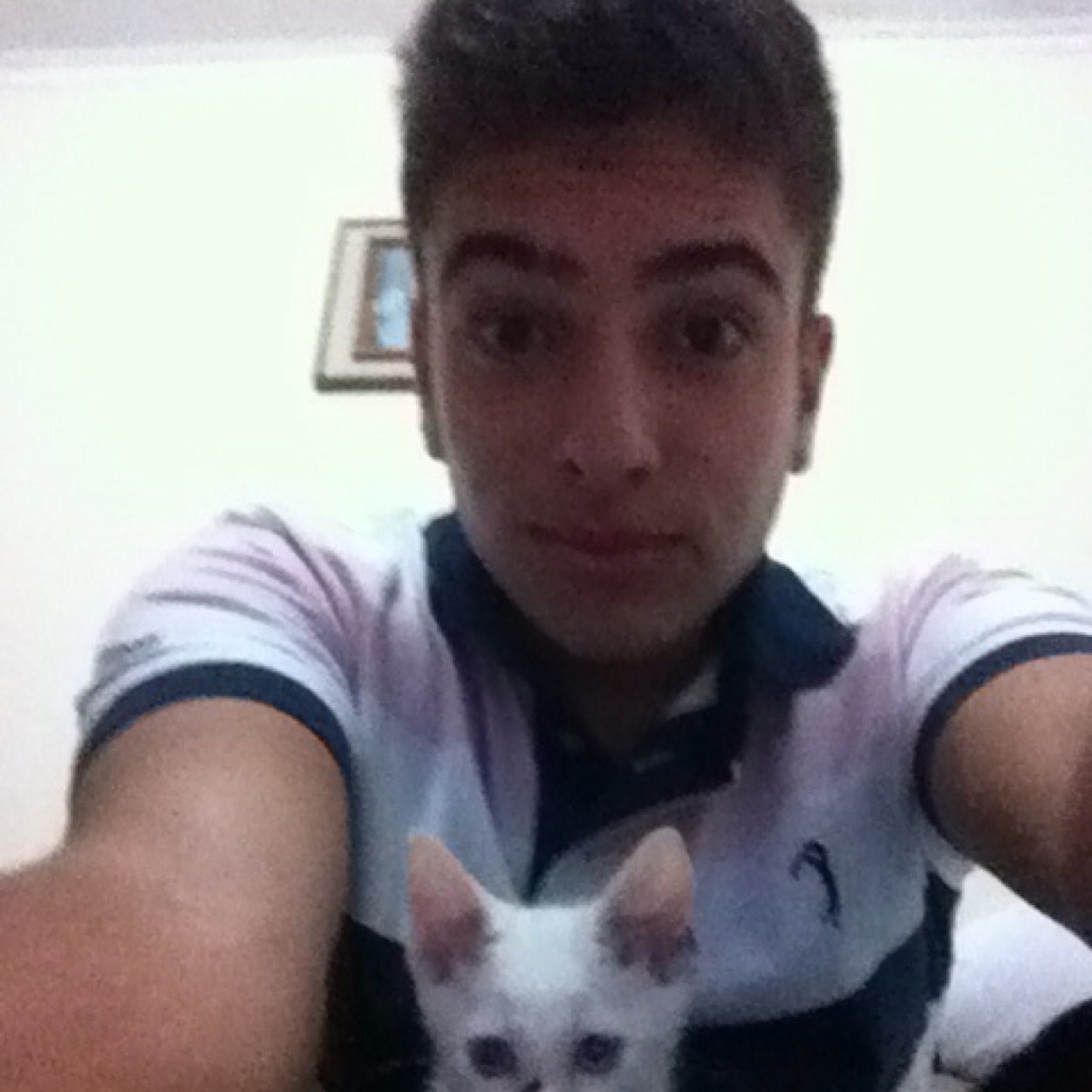 matheuscanosa's profile picture. farrapingafoguete