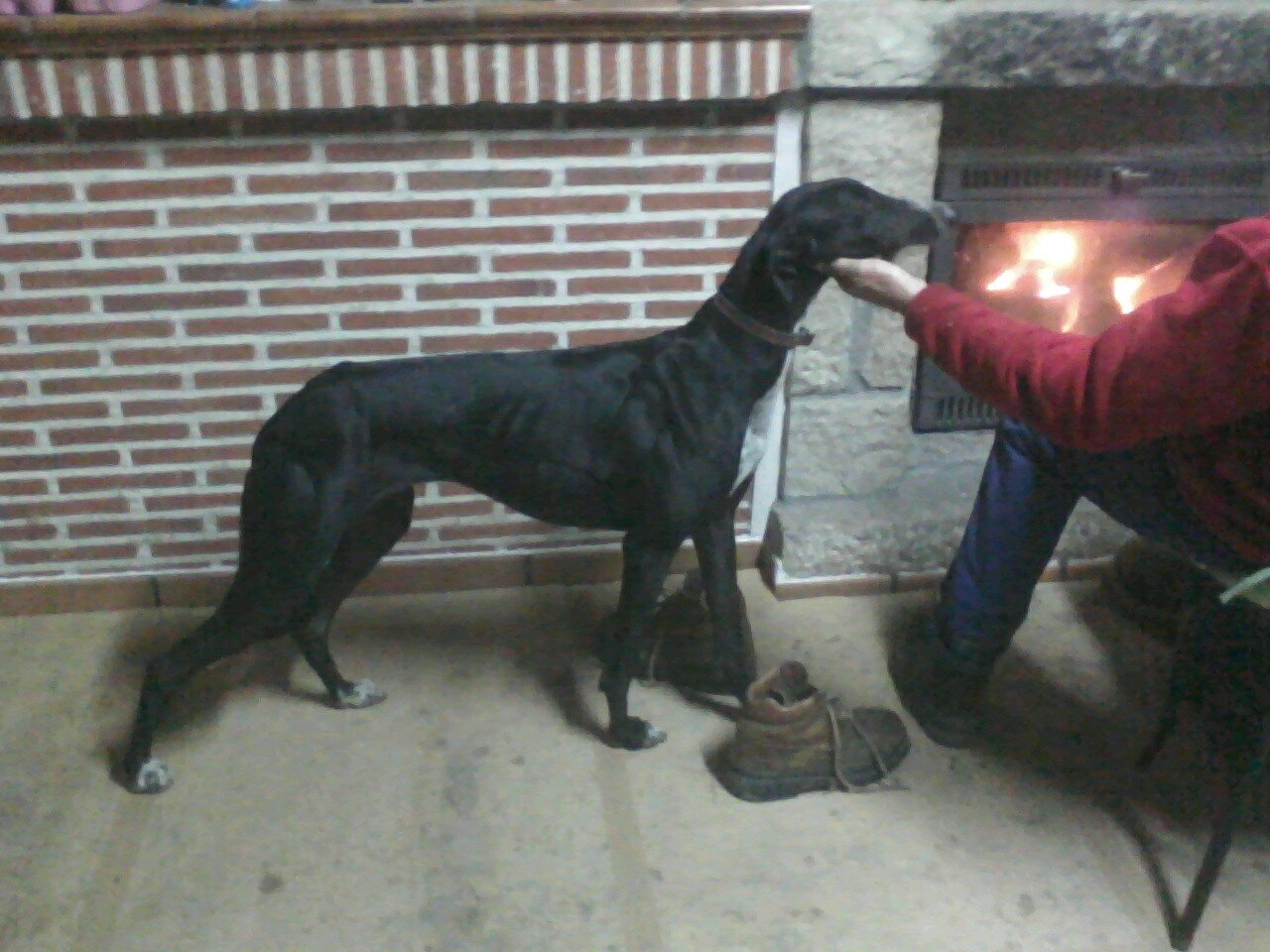 Me gusta ir con mis amigos, futbol, caballos, motos y galgoSms