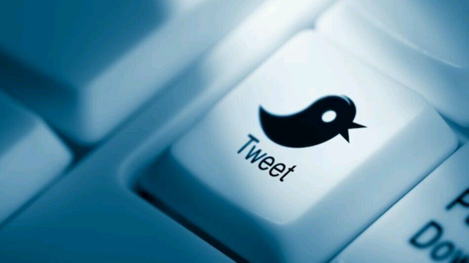100% Follow Back.