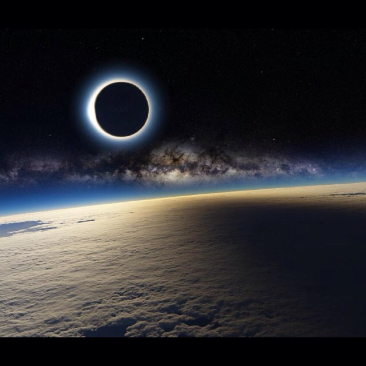 Dornweird's profile picture. 