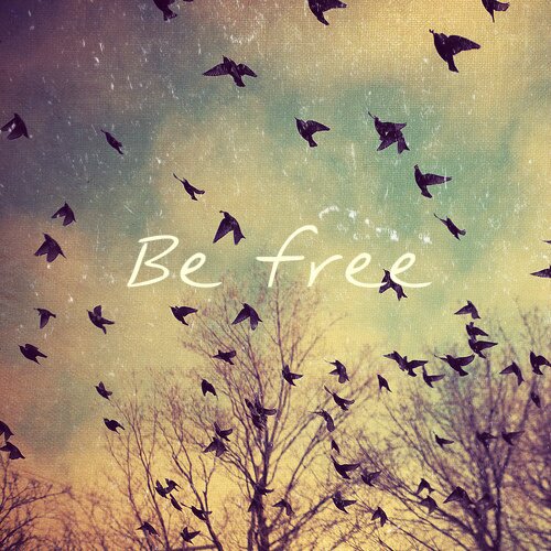 Hiii, Your Voice is Your Power!
