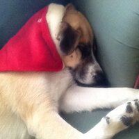 megkep (@megkep) 's Twitter Profile Photo