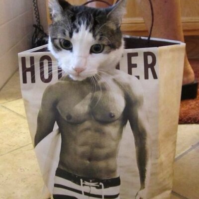 ほらーまんたろん Knlhcnnnn のツイプロ ほらーまんたろん Knlhcnnnn のツイプロ