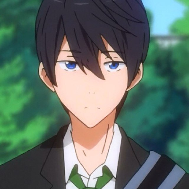 Likes: water, pools (preferably filled with water), mackerel, water, swimming, waterfalls, H2O, dolphins, freestyle, water | Dislikes: Dry places. | [#Free!RP]