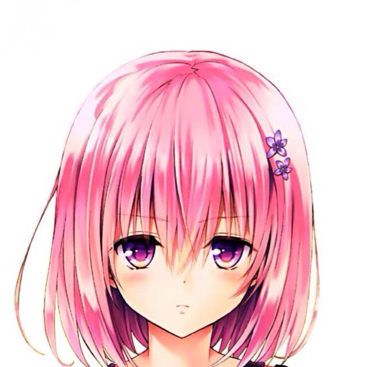 toloveru_momo03 Profile Picture