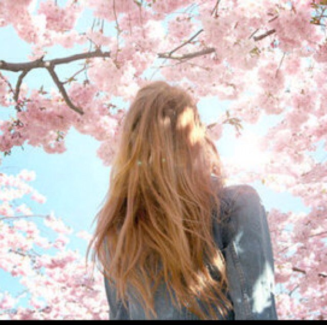 Any fool can count the seeds in an apple, but only god can count all the apples in one seed