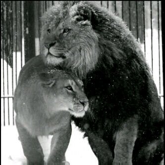 PIN:2B2858C3