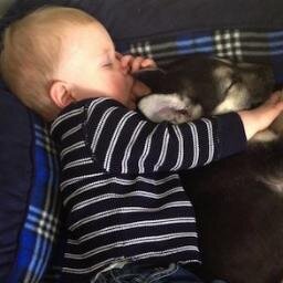 FragileTrouble's profile picture. |I love to sing sweet songs to you because. You. Are. So. Deer...| [RP/Age:13 months] [Dadah; @SmexyVengeance]