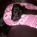 Ted Heath  - @dobedobedo4me - Twitter