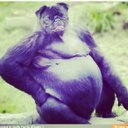 Tanner ray wiggins - @tabner_ - Twitter