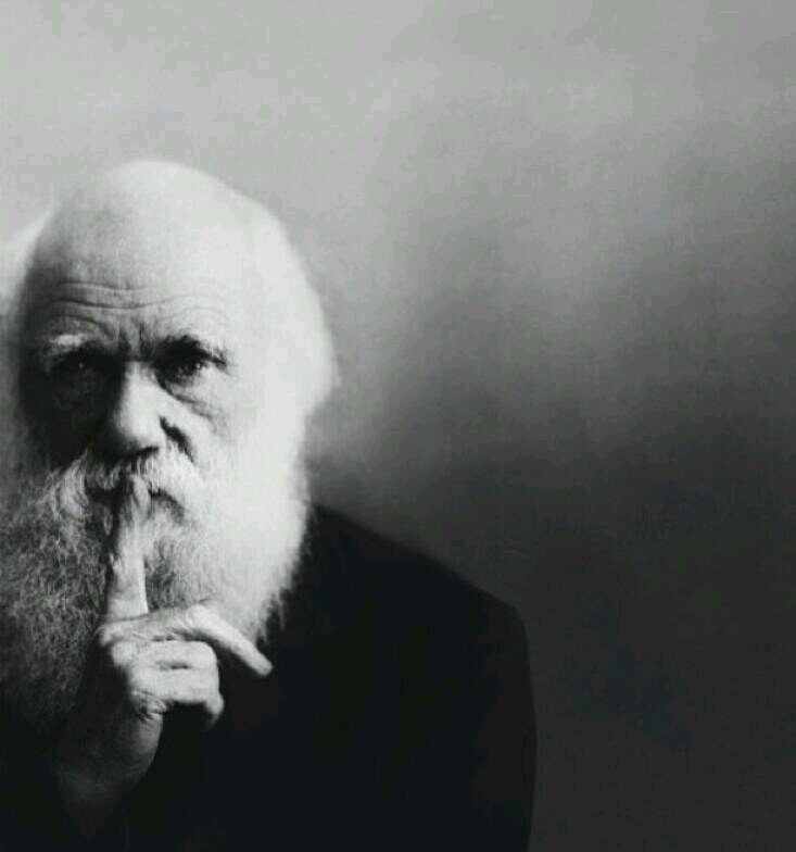 ‏یَتیم ، ولِدتُ بِ شعر شَائِب ..!