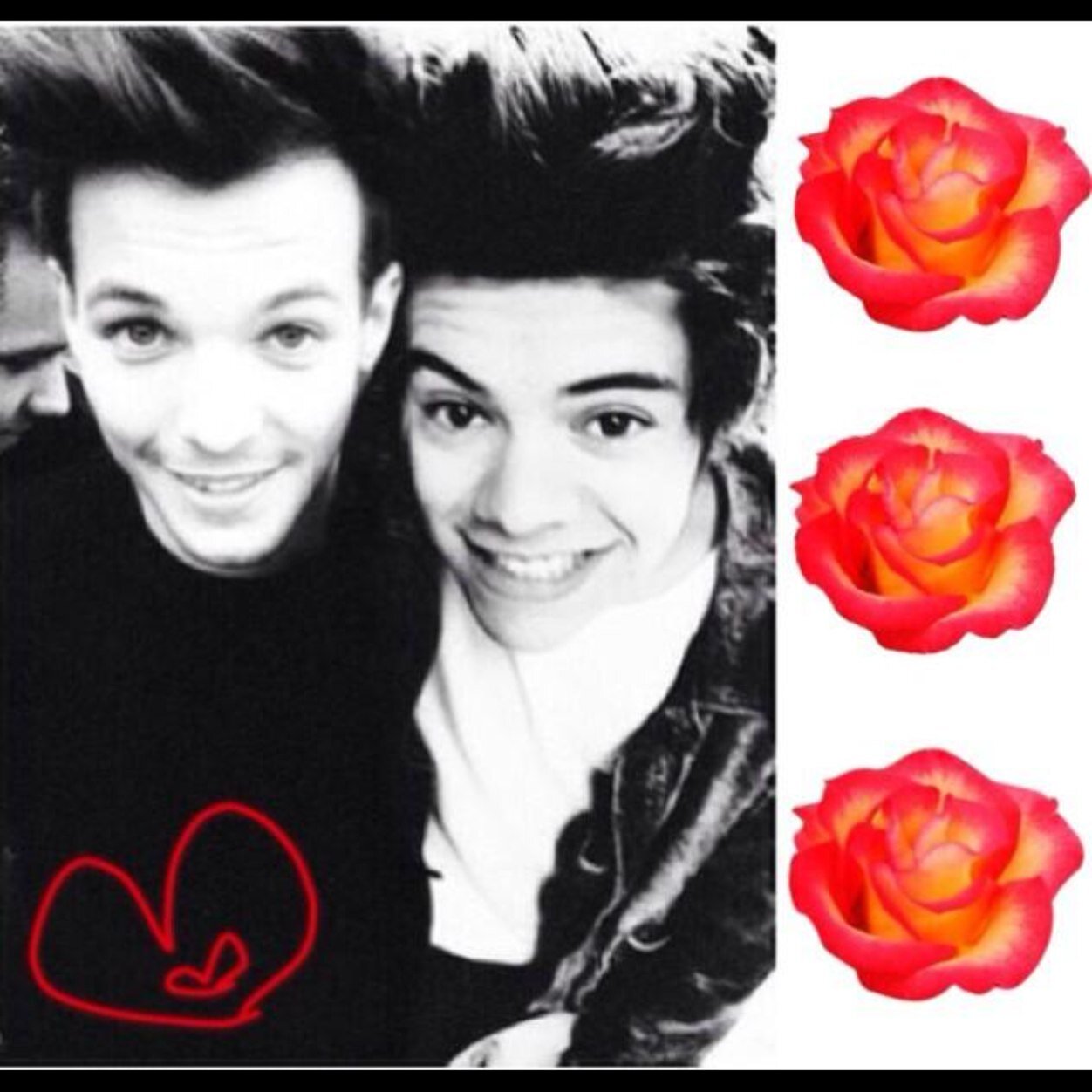 follow @narrysfabgravy x