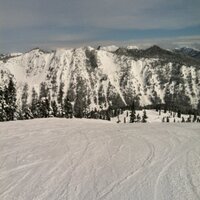 Jeff Drayer (@jeffdrayer1) 's Twitter Profile