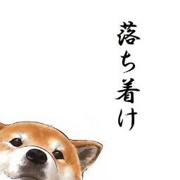 marble_lemon44's profile picture. 食べること・漫画・アニメ・癒し所・スポーツ・猫・犬・ディズニー
などが好き。
少し落ち着いて、
行動力のある人になりたいなぁ。