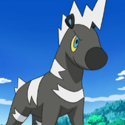 Darkar040's profile picture. VIVA POKEMON!!!