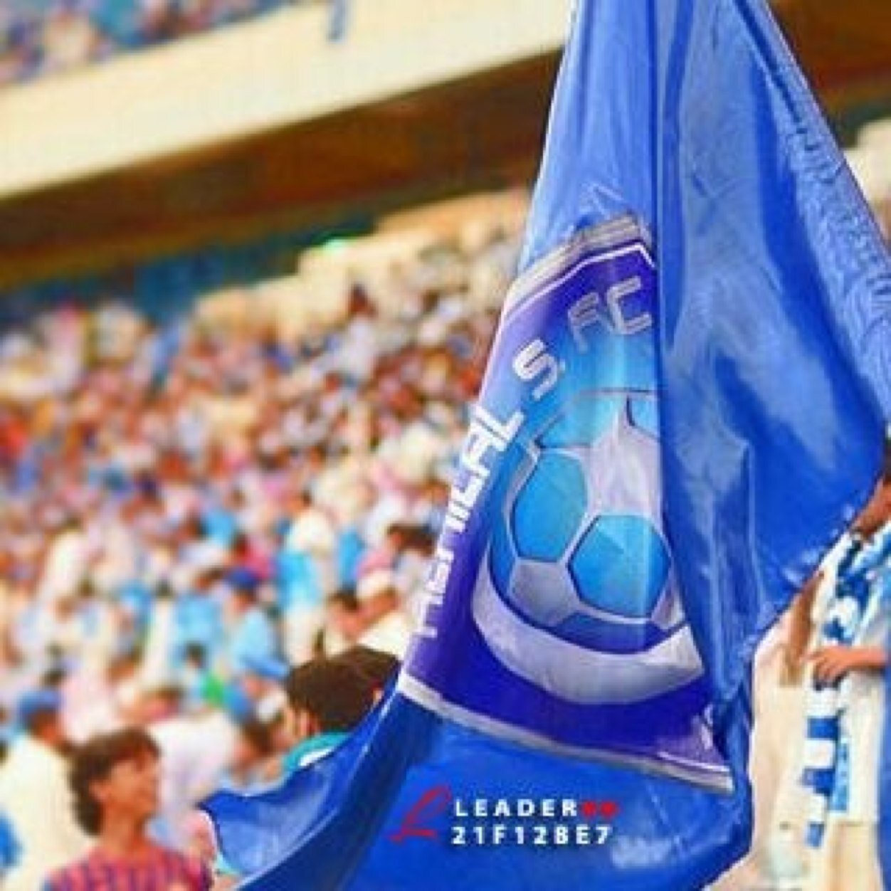 a111m111's profile picture. 