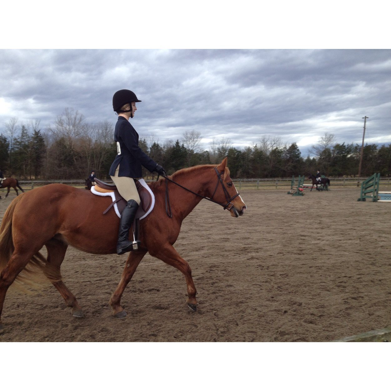 western pleasure and hunter rider - interschool competitor - virginia